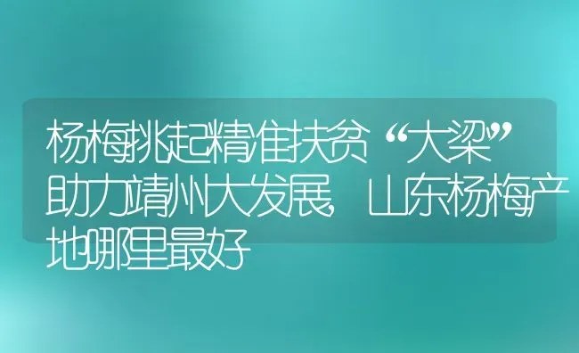 杨梅挑起精准扶贫“大梁”助力靖州大发展,山东杨梅产地哪里最好 | 养殖常见问题