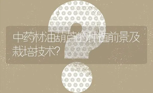 中药材油葫芦的种植前景及栽培技术? | 养殖问题解答