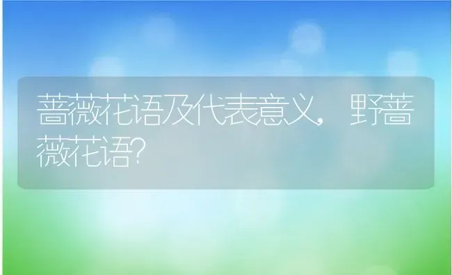 蔷薇花语及代表意义,野蔷薇花语？ | 养殖常见问题