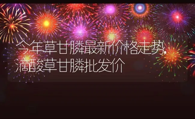 人参种子怎么种植几月份下种,人参种子怎么种植几月份下种 | 养殖常见问题