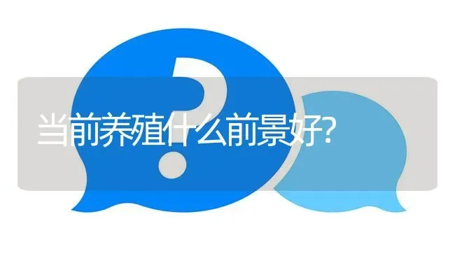 当前养殖什么前景好? | 养殖问题解答