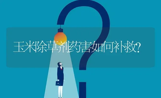 含钙的水稻在哪买? | 养殖问题解答