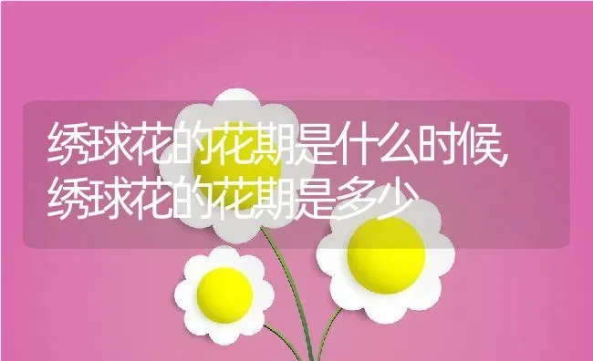 绣球花的花期是什么时候,绣球花的花期是多少 | 养殖常见问题