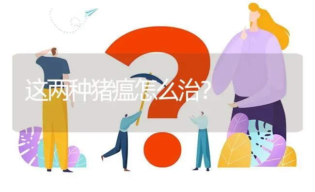 这两种猪瘟怎么治? | 养殖问题解答