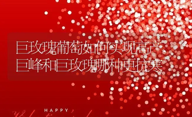 巨玫瑰葡萄如何实现高产,巨峰和巨玫瑰哪种更抗寒 | 养殖常见问题
