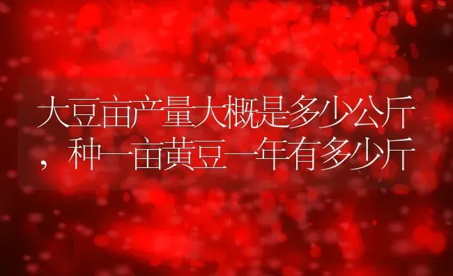 大豆亩产量大概是多少公斤,种一亩黄豆一年有多少斤 | 养殖常见问题