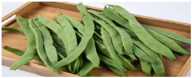 种植刀豆的注意事项 | 农业答疑