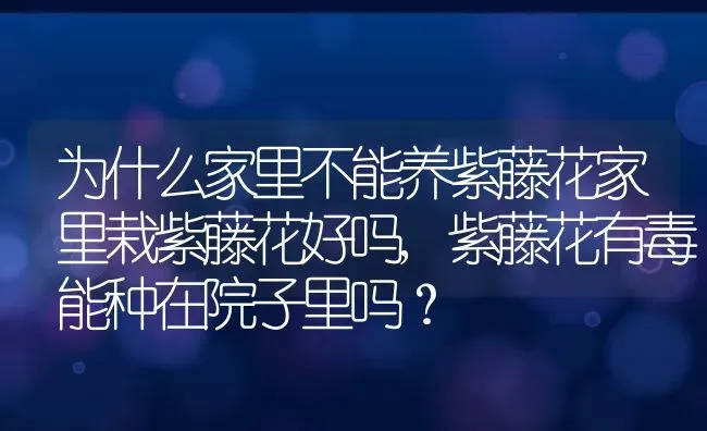 为什么家里不能养紫藤花家里栽紫藤花好吗,紫藤花有毒能种在院子里吗？ | 养殖常见问题