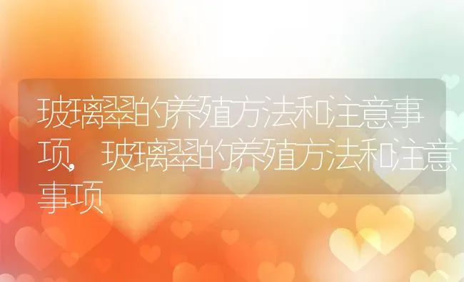 玻璃翠的养殖方法和注意事项,玻璃翠的养殖方法和注意事项 | 养殖常见问题