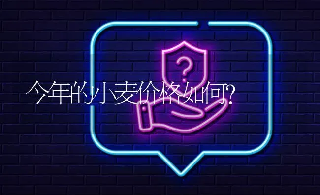 今年的小麦价格如何? | 养殖问题解答