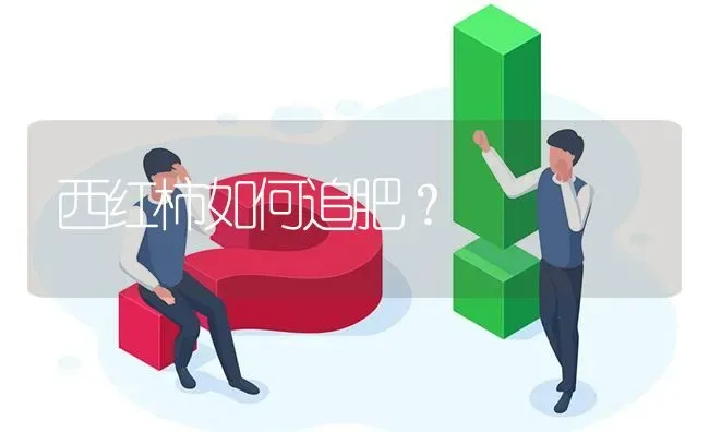 西红柿如何追肥? | 养殖问题解答