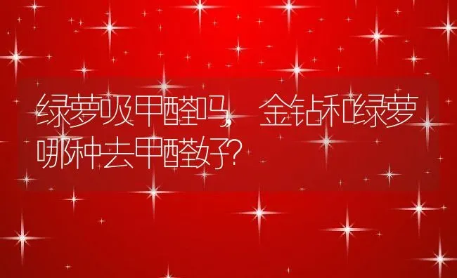 绿萝吸甲醛吗,金钻和绿萝哪种去甲醛好？ | 养殖常见问题