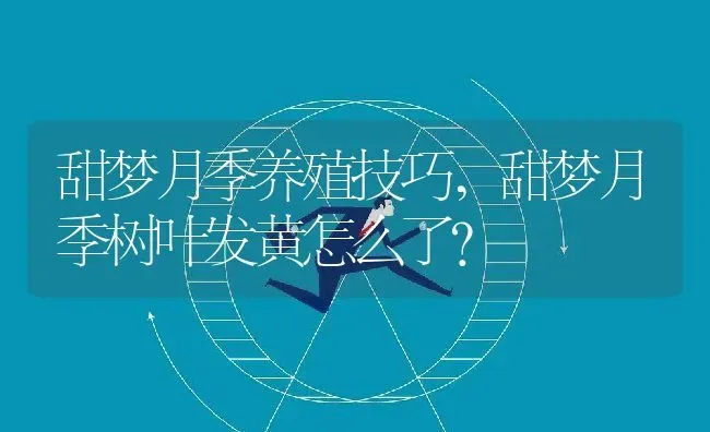 甜梦月季养殖技巧,甜梦月季树叶发黄怎么了？ | 养殖常见问题