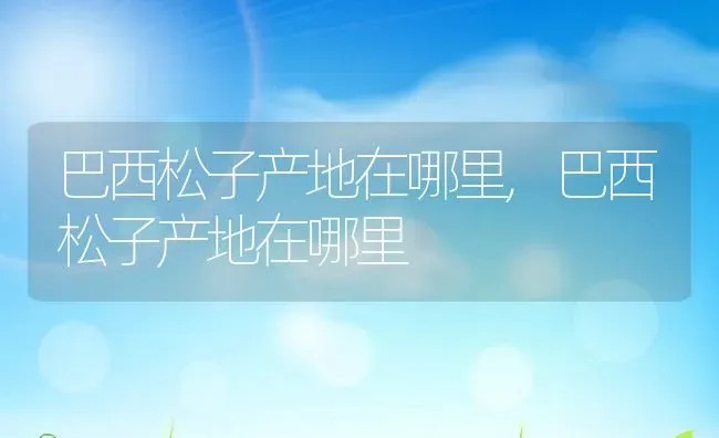 巴西松子产地在哪里,巴西松子产地在哪里 | 养殖常见问题