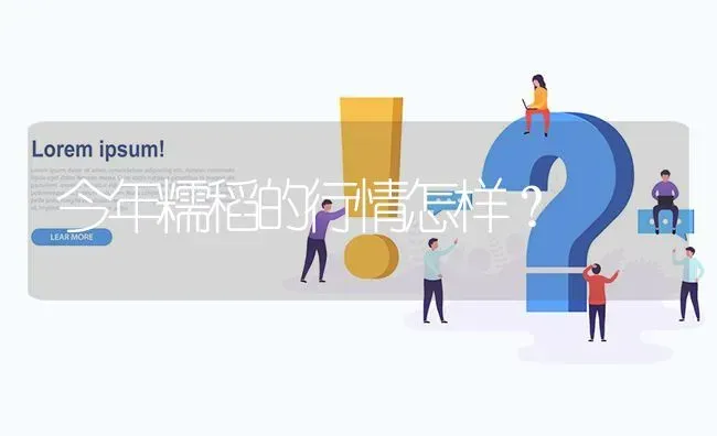 今年糯稻的行情怎样? | 养殖问题解答