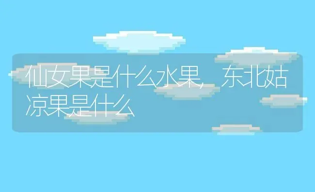 适合送给妈妈的花,适合送给妈妈的花 | 养殖常见问题
