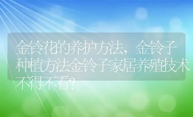 金铃花的养护方法,金铃子种植方法金铃子家居养殖技术不得不看？ | 养殖常见问题