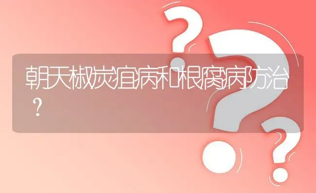 朝天椒炭疽病和根腐病防治? | 养殖问题解答