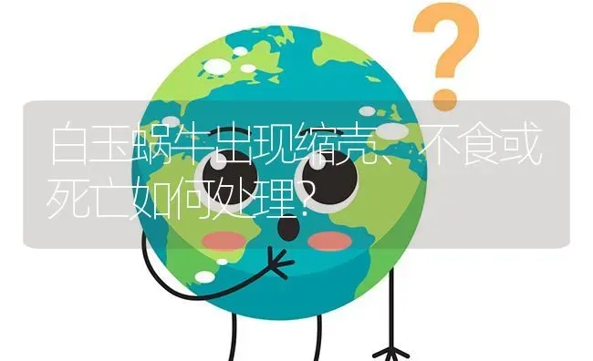 白玉蜗牛出现缩壳、不食或死亡如何处理? | 养殖问题解答