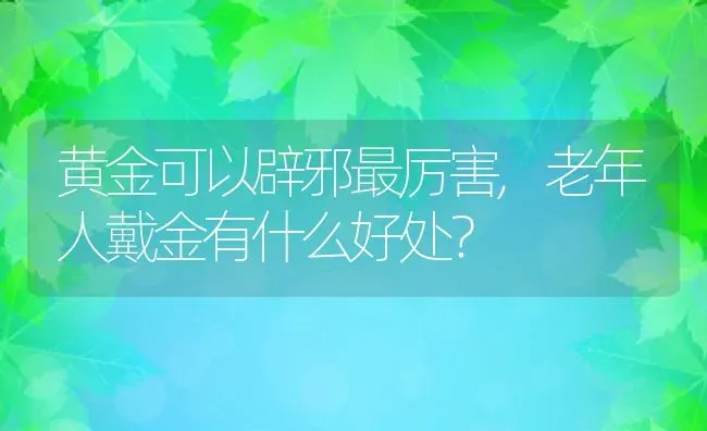 黄金可以辟邪最厉害,老年人戴金有什么好处？ | 养殖常见问题