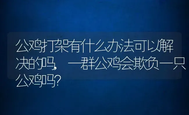 公鸡打架有什么办法可以解决的吗,一群公鸡会欺负一只公鸡吗？ | 养殖常见问题