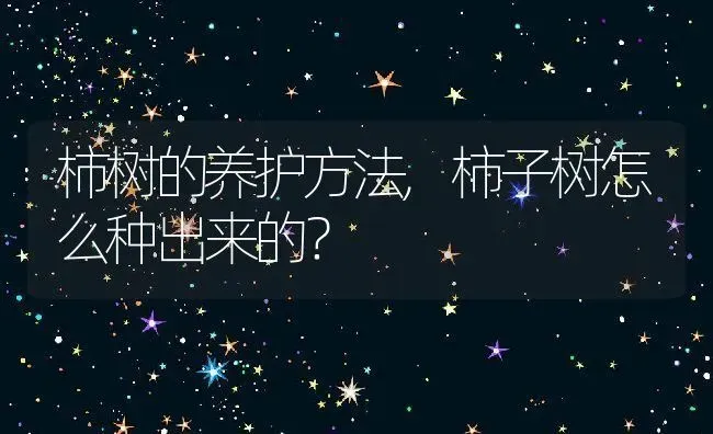 柿树的养护方法,柿子树怎么种出来的？ | 养殖常见问题