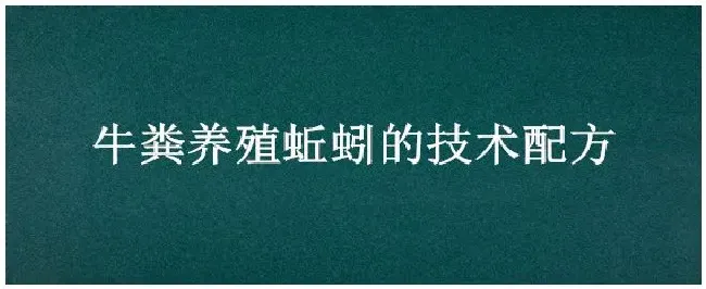 牛粪养殖蚯蚓的技术配方 | 科普知识