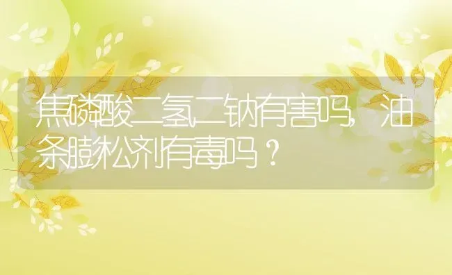 焦磷酸二氢二钠有害吗,油条膨松剂有毒吗？ | 养殖常见问题