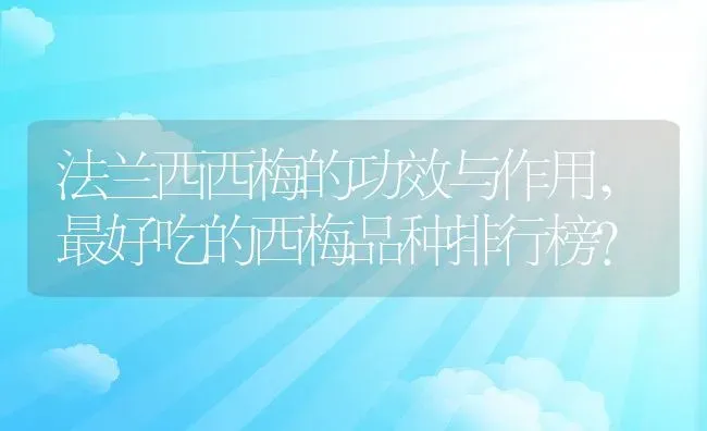 法兰西西梅的功效与作用,最好吃的西梅品种排行榜？ | 养殖常见问题