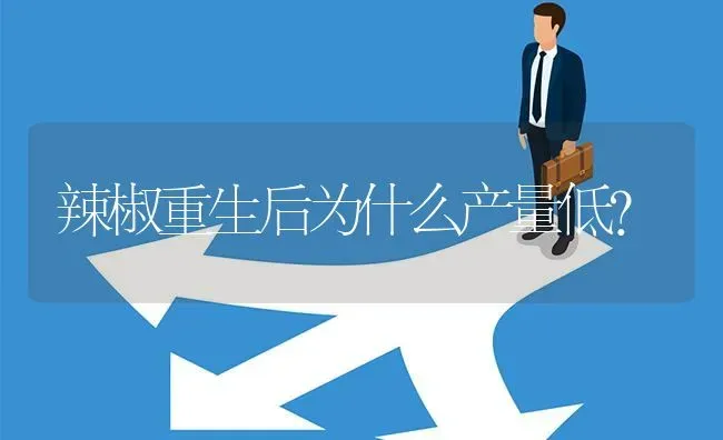 辣椒重生后为什么产量低? | 养殖问题解答