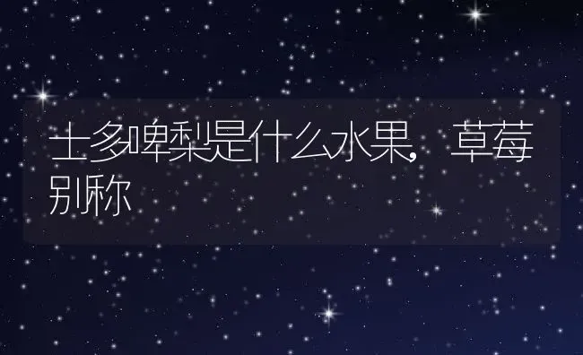 士多啤梨是什么水果,草莓别称 | 养殖常见问题