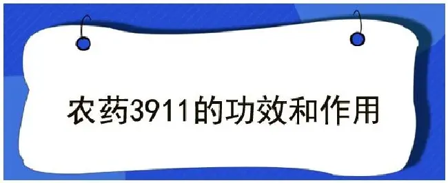 农药3911的功效和作用 | 三农问答
