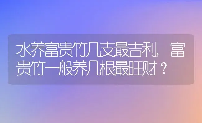 水养富贵竹几支最吉利,富贵竹一般养几根最旺财？ | 养殖常见问题