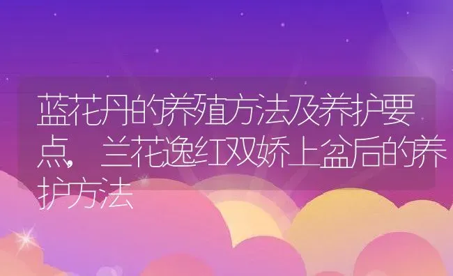 评分9.5以上的总裁小说言情,评分9.5以上的总裁小说言情 | 养殖常见问题