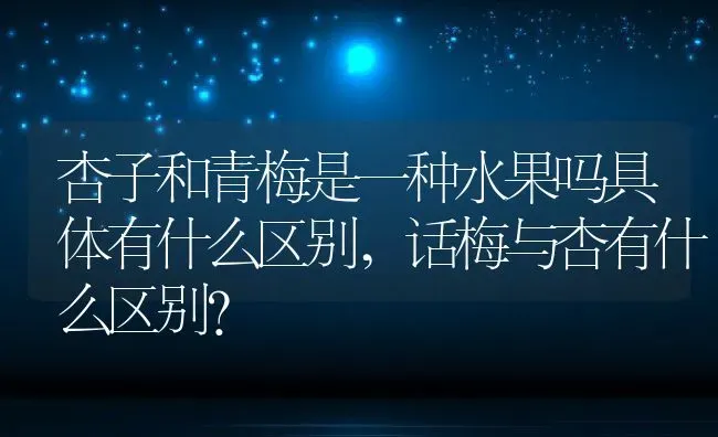 杏子和青梅是一种水果吗具体有什么区别,话梅与杏有什么区别？ | 养殖常见问题