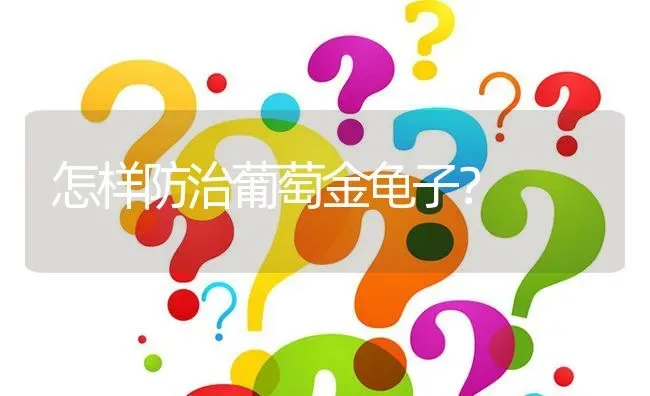 怎样防治葡萄金龟子? | 养殖问题解答