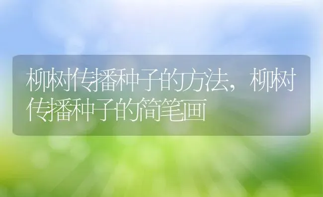 柳树传播种子的方法,柳树传播种子的简笔画 | 养殖常见问题