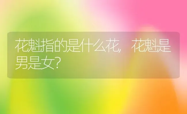花魁指的是什么花,花魁是男是女？ | 养殖常见问题