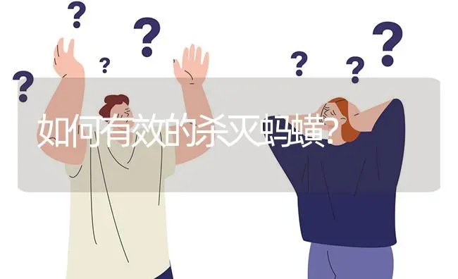 如何有效的杀灭蚂蟥? | 养殖问题解答