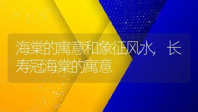 海棠的寓意和象征风水,长寿冠海棠的寓意 | 养殖常见问题