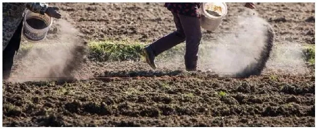 松土精的使用方法对植物有危害吗 | 三农问答