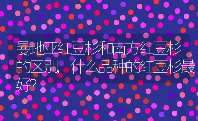 曼地亚红豆杉和南方红豆杉的区别,什么品种的红豆杉最好？ | 养殖常见问题