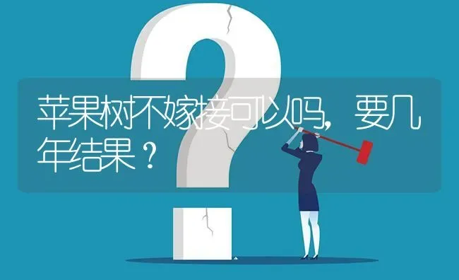 苹果树不嫁接可以吗,要几年结果? | 养殖问题解答