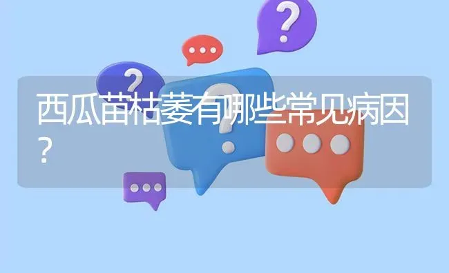 西瓜苗枯萎有哪些常见病因? | 养殖问题解答