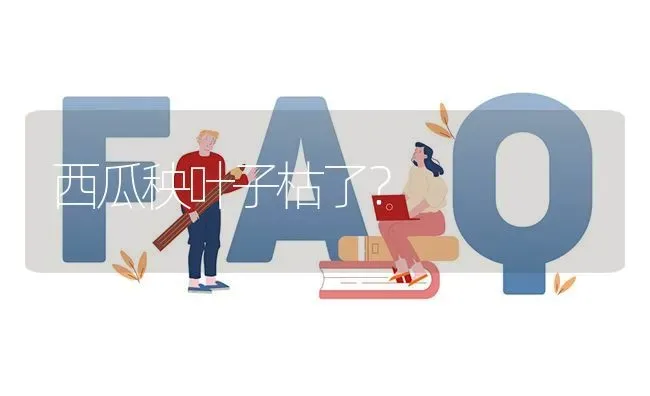 西瓜秧叶子枯了? | 养殖问题解答