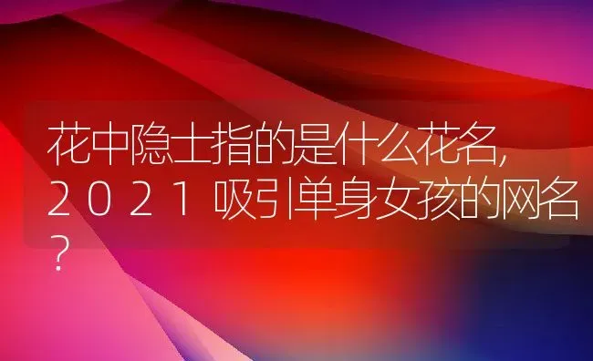 花中隐士指的是什么花名,2021吸引单身女孩的网名？ | 养殖常见问题