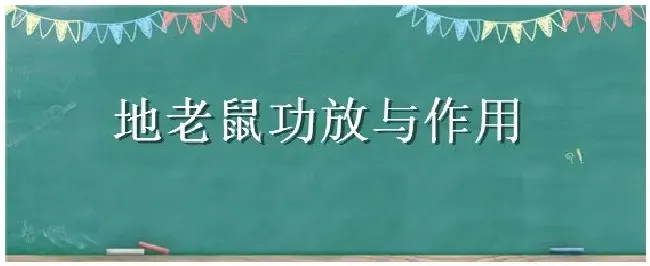 地老鼠功放与作用 | 科普知识