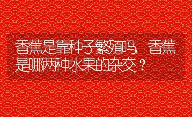 香蕉是靠种子繁殖吗,香蕉是哪两种水果的杂交？ | 养殖常见问题