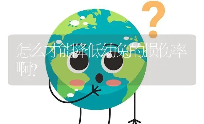 怎么才能降低幼兔的损伤率啊? | 养殖问题解答