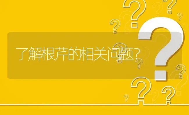 了解根芹的相关问题? | 养殖问题解答